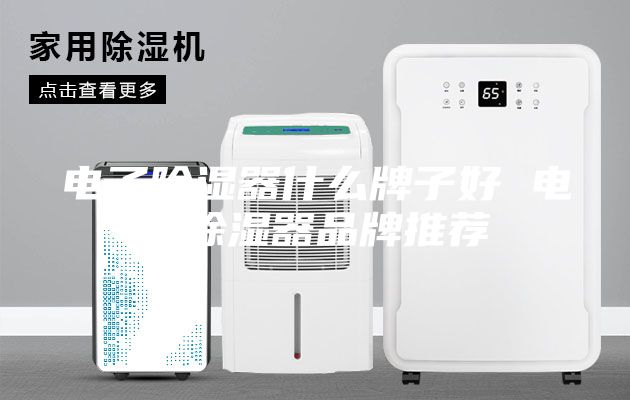 電子除濕器什么牌子好 電子除濕器品牌推薦