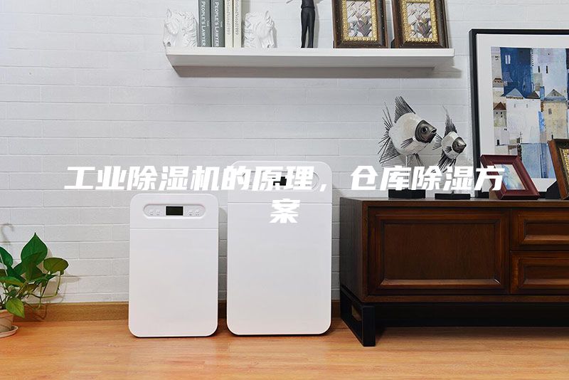 工業除濕機的原理，倉庫除濕方案