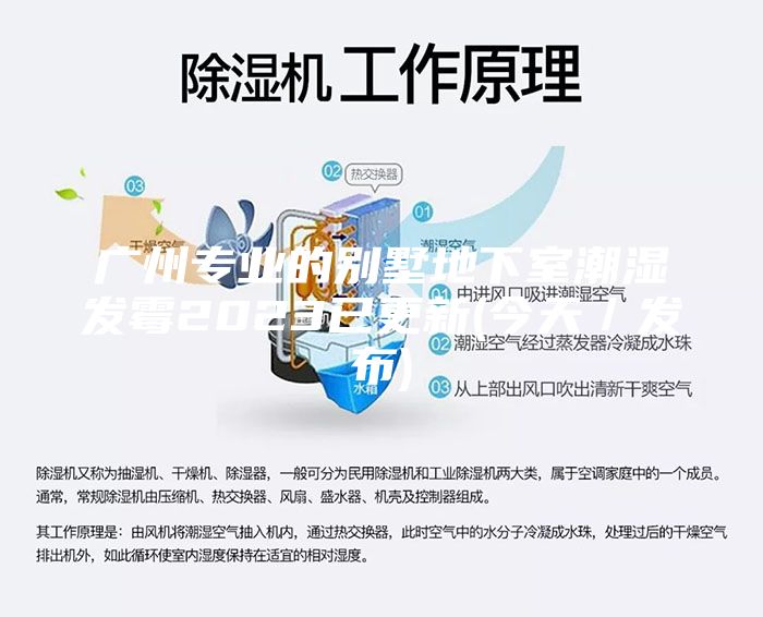 廣州專業的別墅地下室潮濕發霉2023已更新(今天/發布)