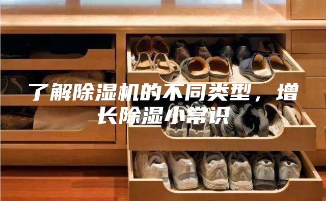 了解除濕機的不同類型，增長除濕小常識