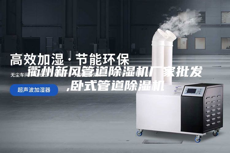 衢州新風(fēng)管道除濕機廠家批發(fā),臥式管道除濕機