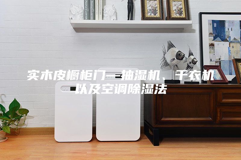 實木皮櫥柜門—抽濕機、干衣機以及空調除濕法