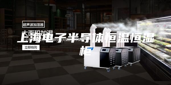 上海電子半導(dǎo)體恒溫恒濕柜
