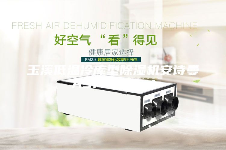 玉溪低溫冷庫(kù)型除濕機(jī)安詩(shī)曼ASM10ASM