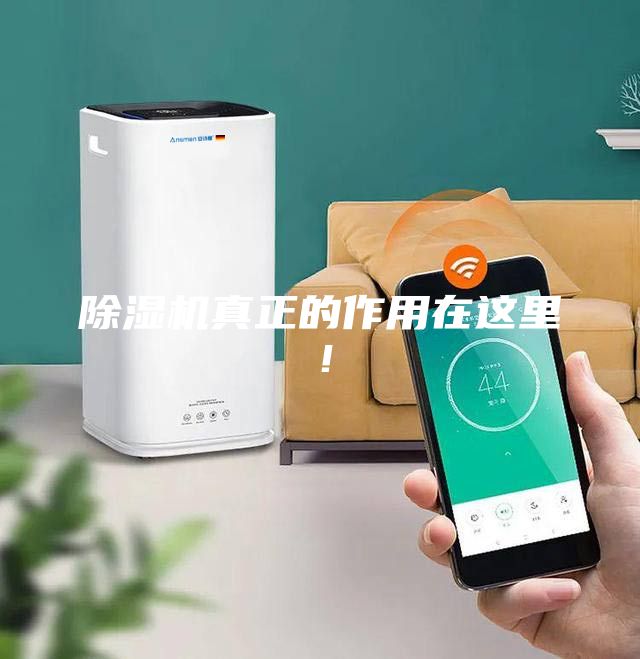 除濕機(jī)真正的作用在這里！