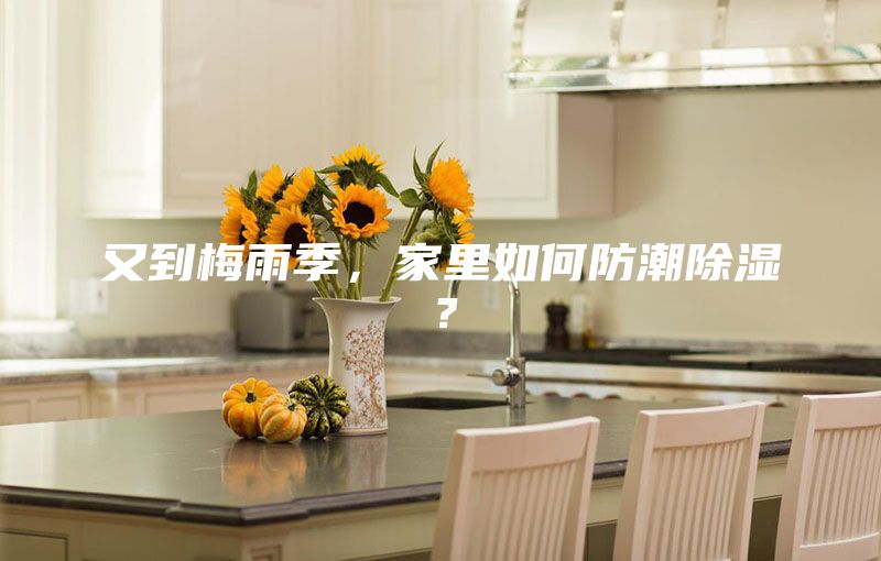 又到梅雨季，家里如何防潮除濕？