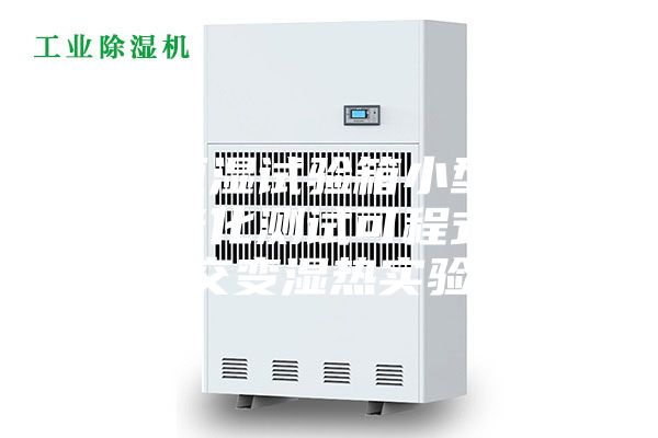 恒溫恒濕試驗(yàn)箱小型低溫環(huán)境老化測試可程式高低溫交變濕熱實(shí)驗(yàn)箱