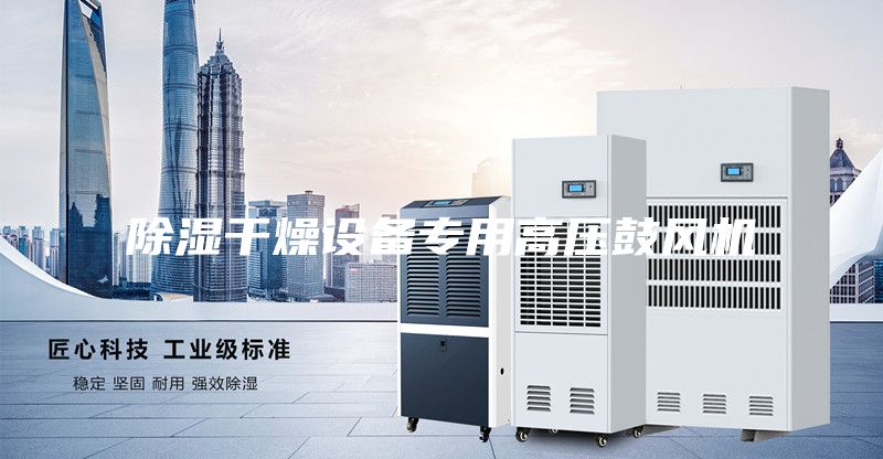 除濕干燥設(shè)備專(zhuān)用高壓鼓風(fēng)機(jī)