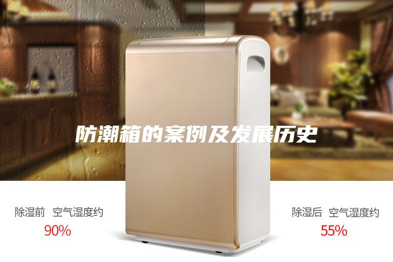 防潮箱的案例及發展歷史