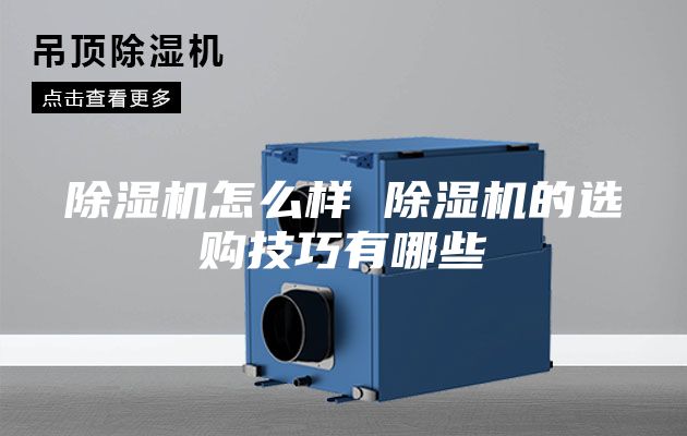 除濕機怎么樣 除濕機的選購技巧有哪些
