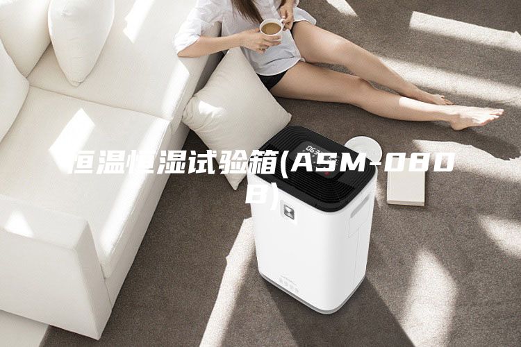 恒溫恒濕試驗箱(ASM-080B)