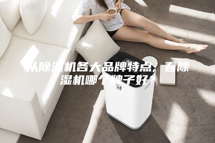 從除濕機(jī)各大品牌特點(diǎn), 看除濕機(jī)哪個(gè)牌子好?