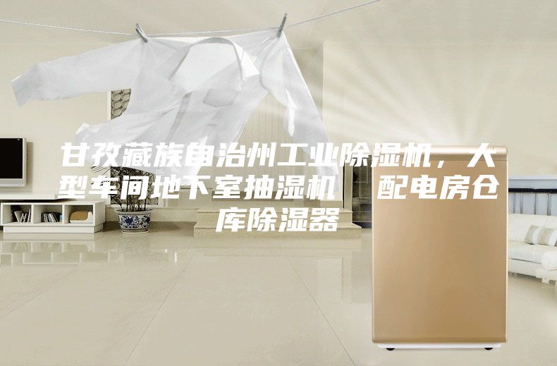 甘孜藏族自治州工業除濕機，大型車間地下室抽濕機  配電房倉庫除濕器