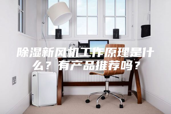 除濕新風機工作原理是什么？有產品推薦嗎？