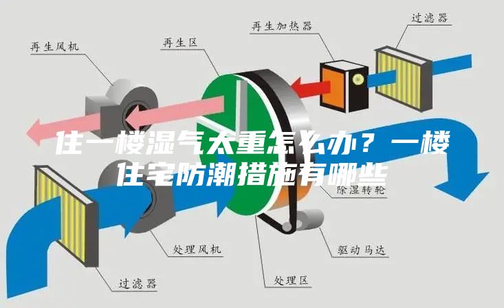 住一樓濕氣太重怎么辦？一樓住宅防潮措施有哪些