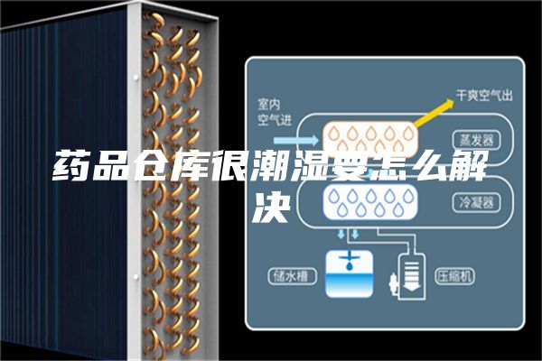 藥品倉(cāng)庫(kù)很潮濕要怎么解決