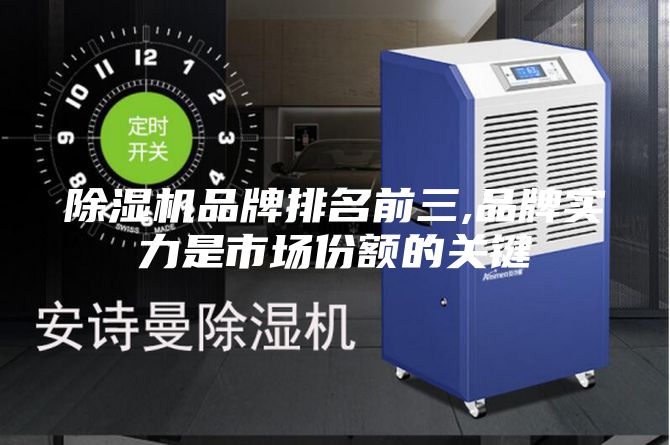 除濕機品牌排名前三,品牌實力是市場份額的關(guān)鍵