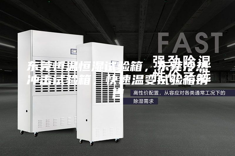 東莞恒溫恒濕試驗(yàn)箱,東莞冷熱沖擊試驗(yàn)箱,快速溫變?cè)囼?yàn)箱銷售