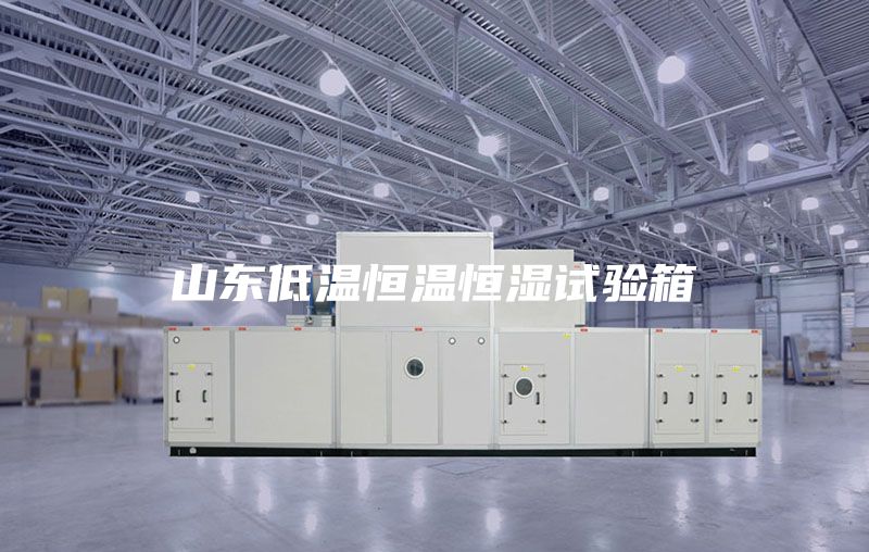 山東低溫恒溫恒濕試驗箱