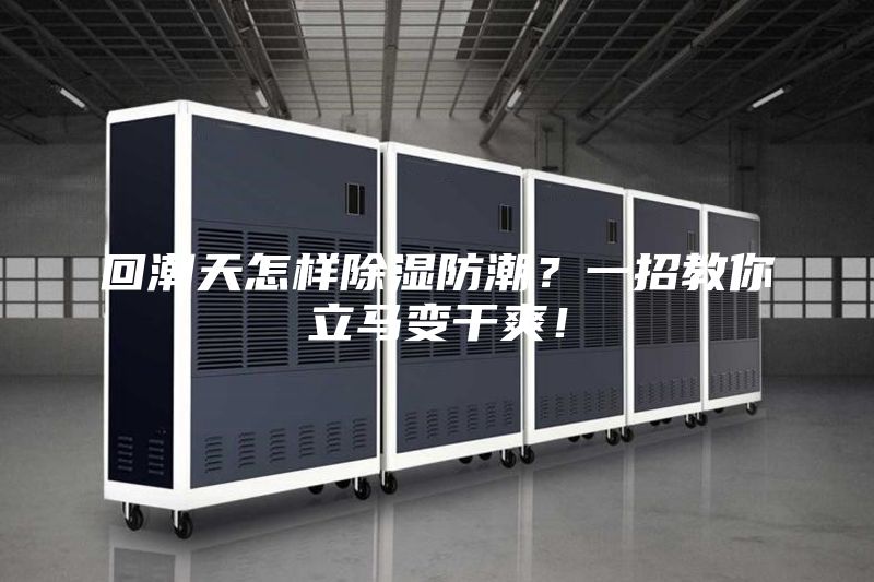 回潮天怎樣除濕防潮?一招教你立馬變干爽!