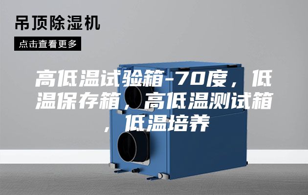 高低溫試驗箱-70度，低溫保存箱，高低溫測試箱，低溫培養